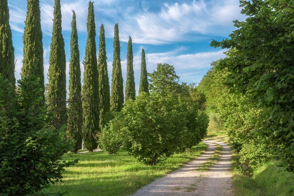 Отель Fattoria Di Vibio Monte Castello di Vibio Экстерьер фото